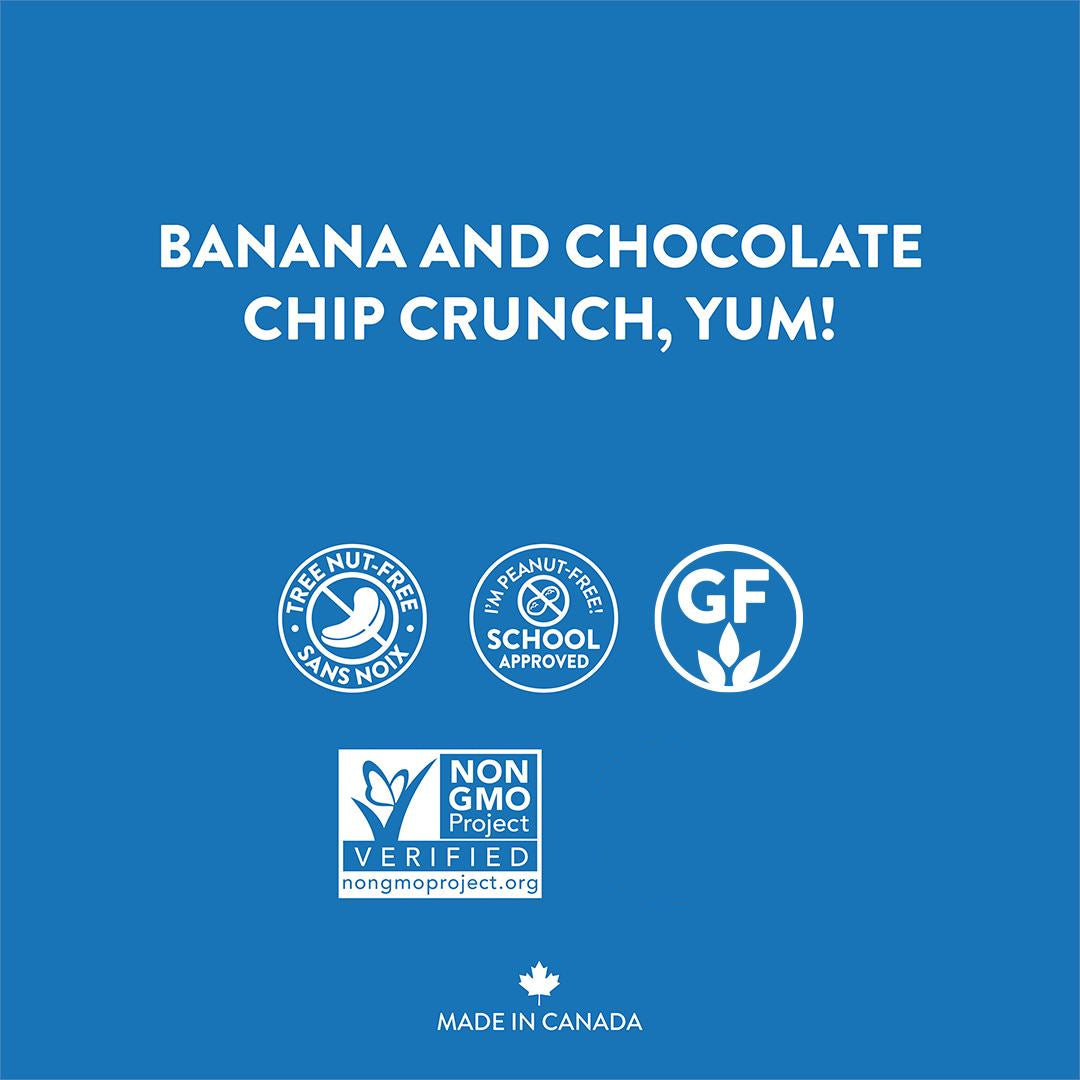 Chocolate Banana Granola Bars