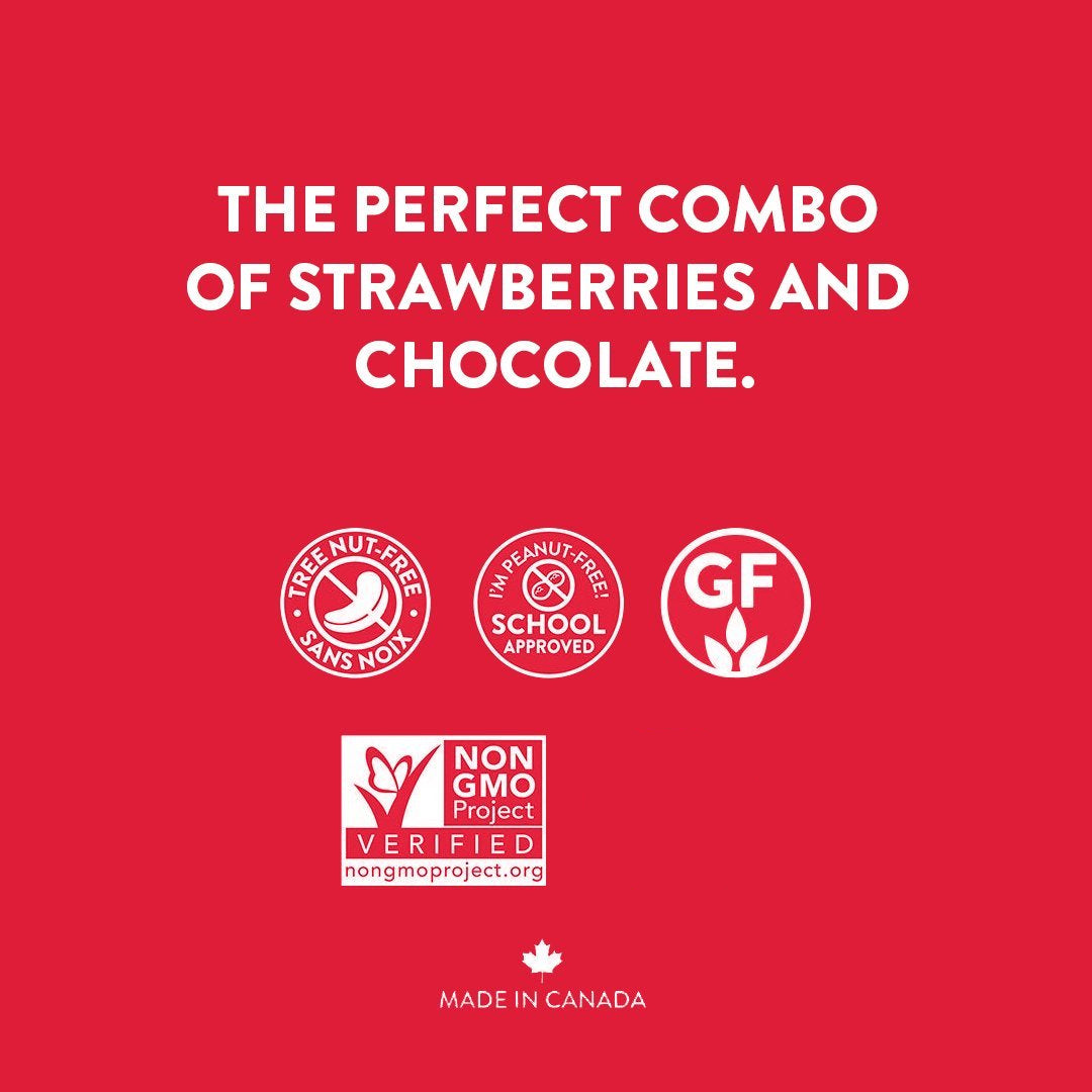 Strawberry Chocolate School Approved Granola Bars